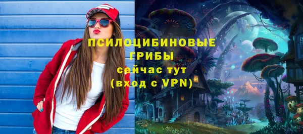 мяу мяу мука Верея