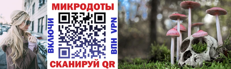 Псилоцибиновые грибы Psilocybine cubensis  Афипский 